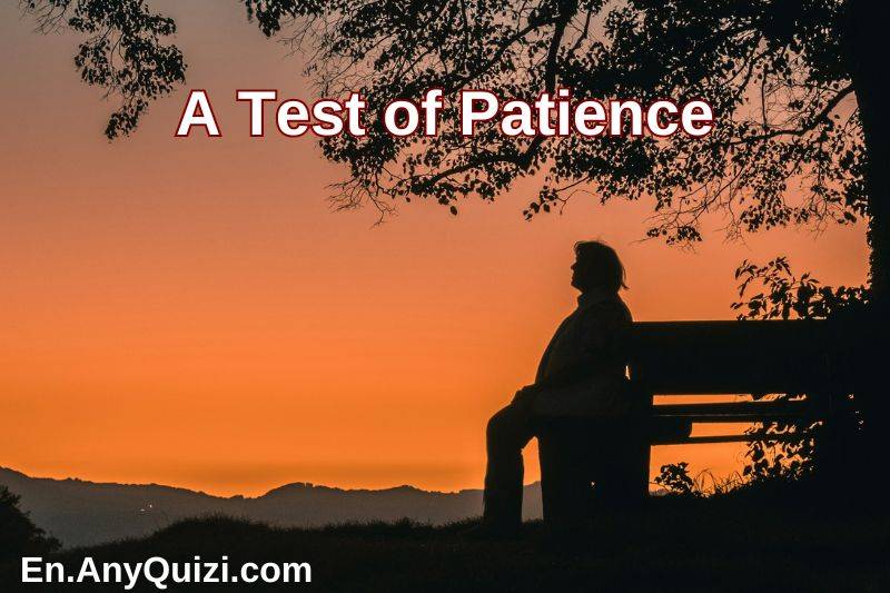 A Test of Patience  - AnyQuizi