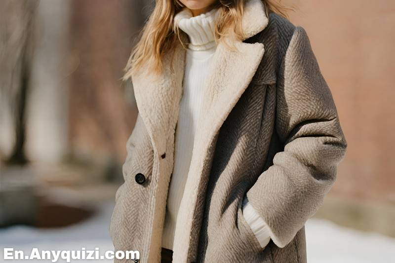 Which Style of Winter Coat Should You Adopt?  - AnyQuizi