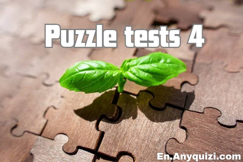 Puzzle Tests 4 - New and Exciting Puzzles  - AnyQuizi
