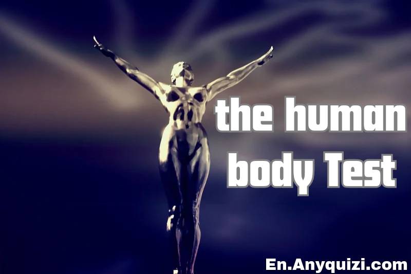 General Tests Human Body  - AnyQuizi